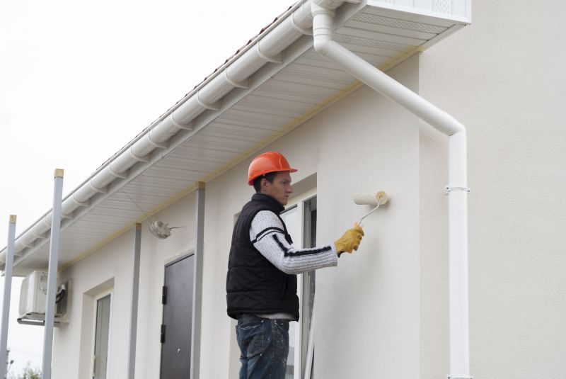 Chimney Painting in Fort Collins, CO