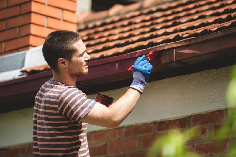 Shed Painting Service in Arvada, CO